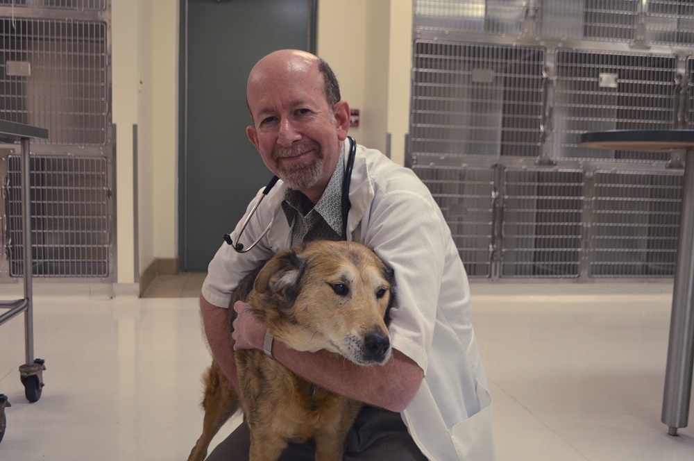 Veterinarian in Palm Coast, FL